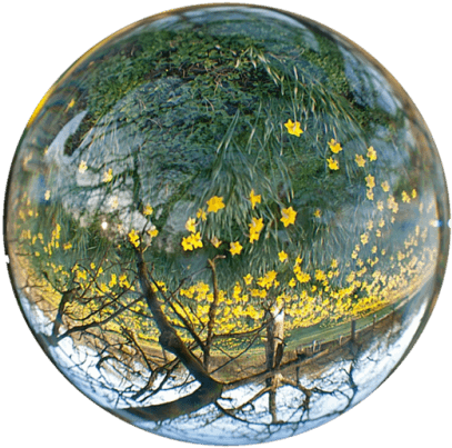 waterdrops